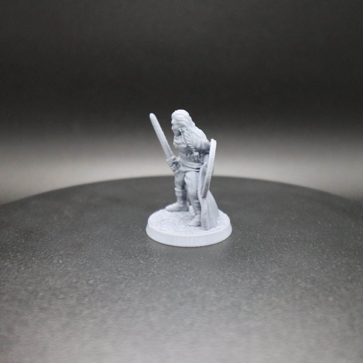 Norse Maiden Wielding a Sword & Shield