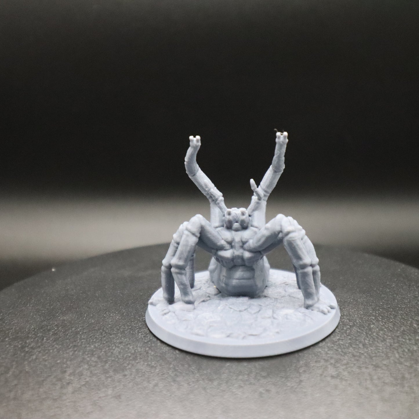 Giant Spider