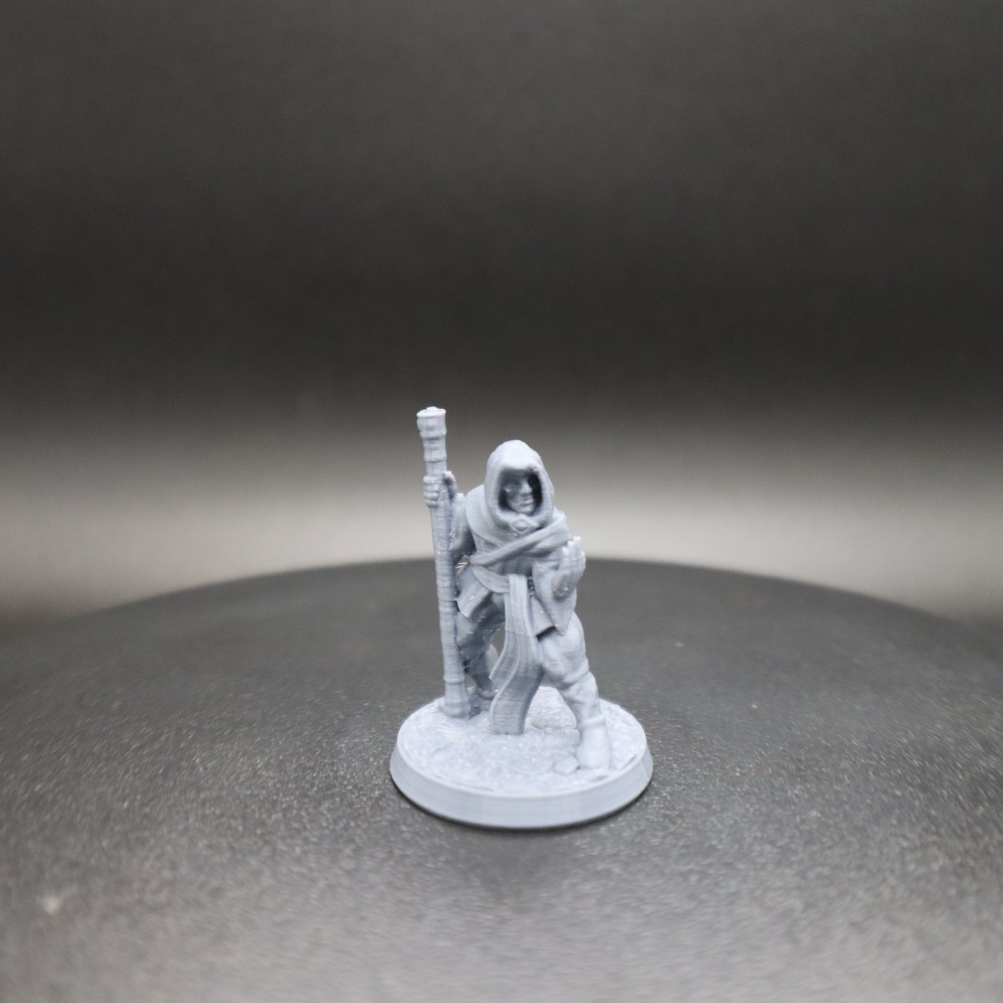 Fighting Monk
