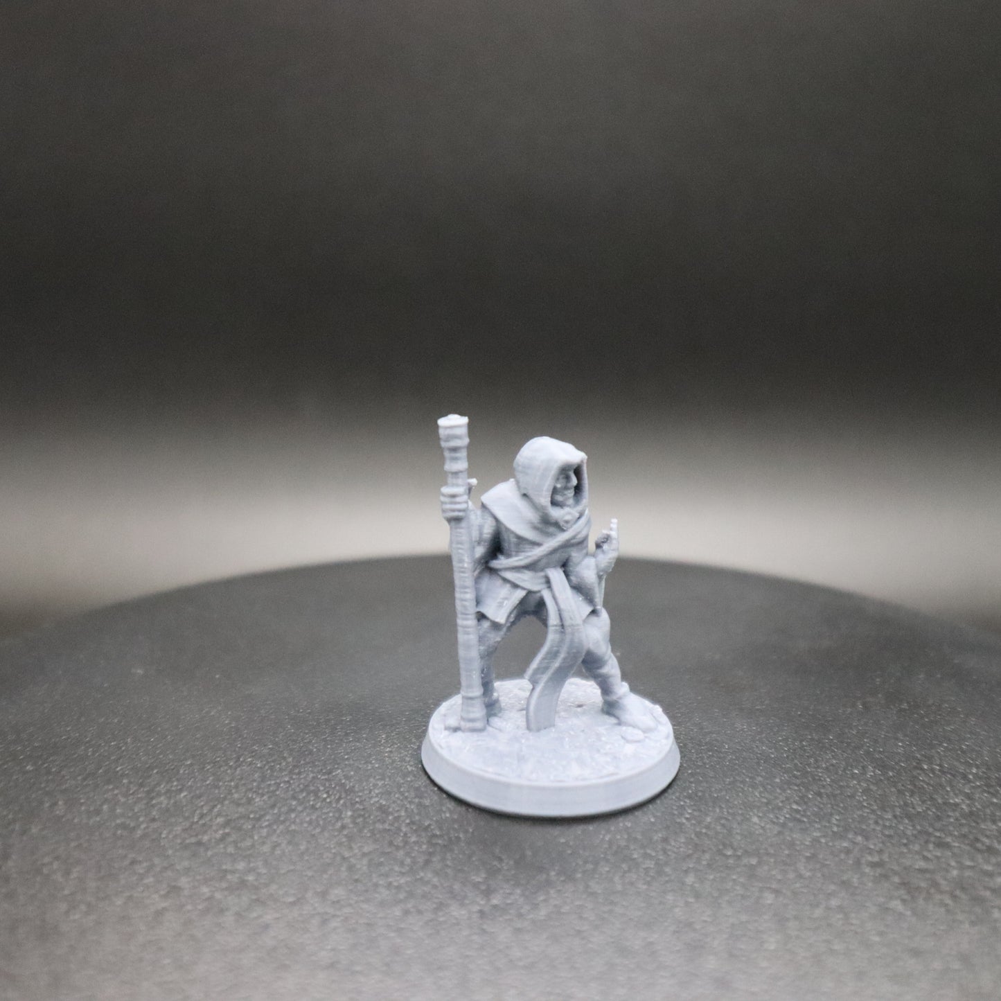 Fighting Monk