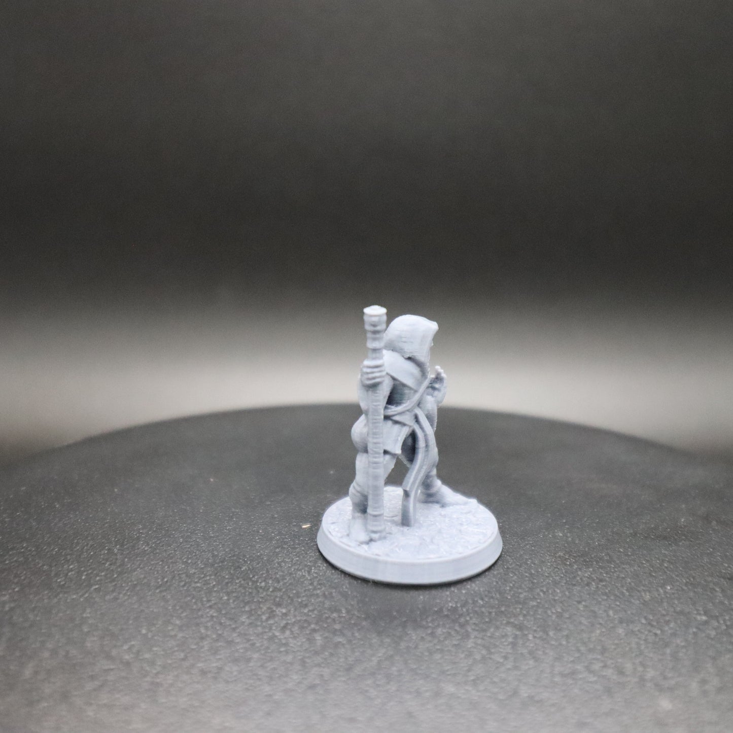 Fighting Monk