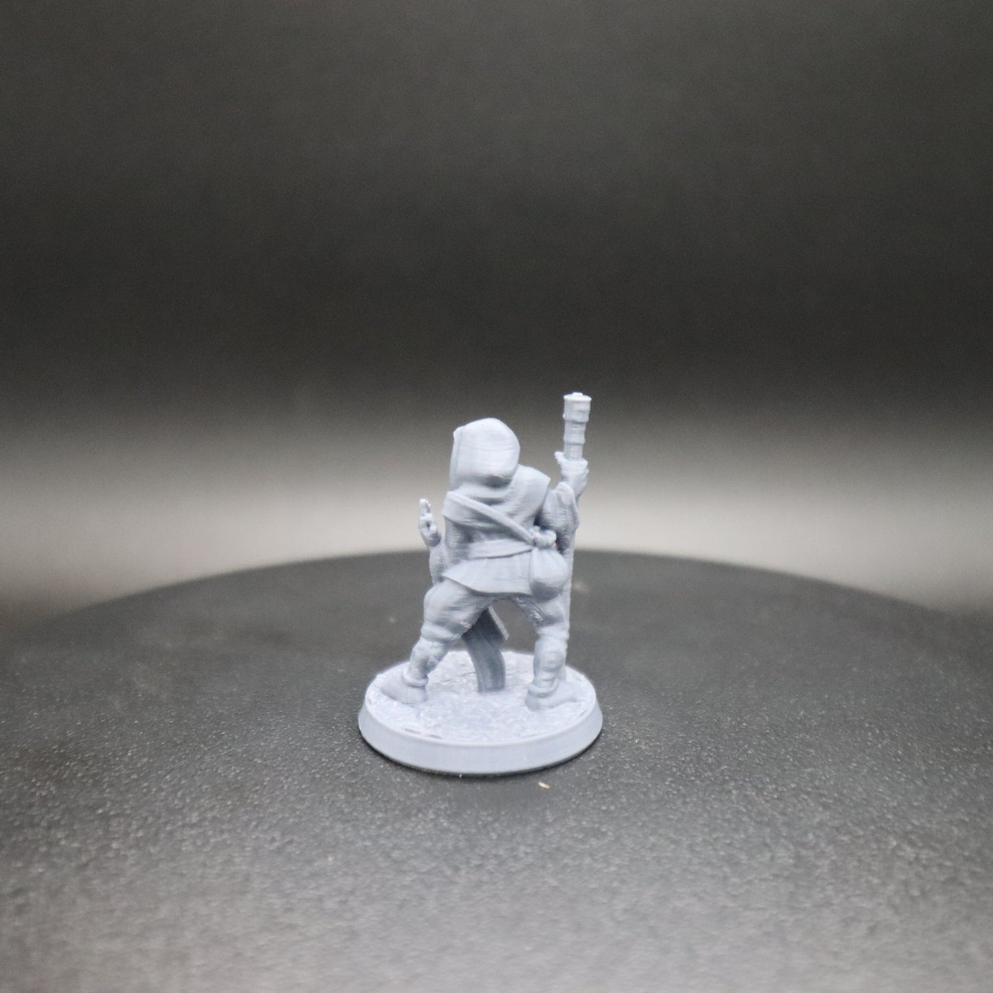 Fighting Monk