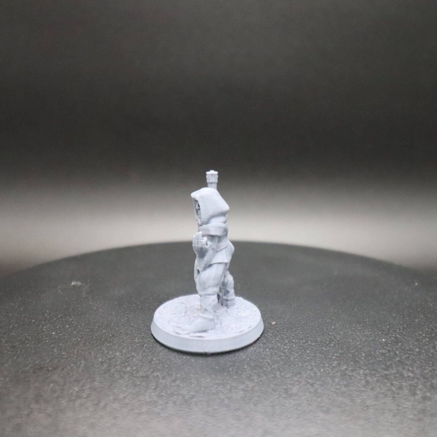 Fighting Monk