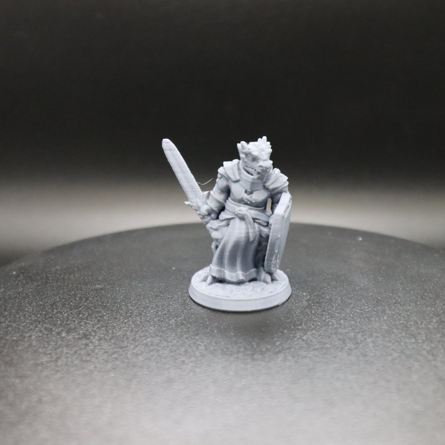 Dragonborn Paladin