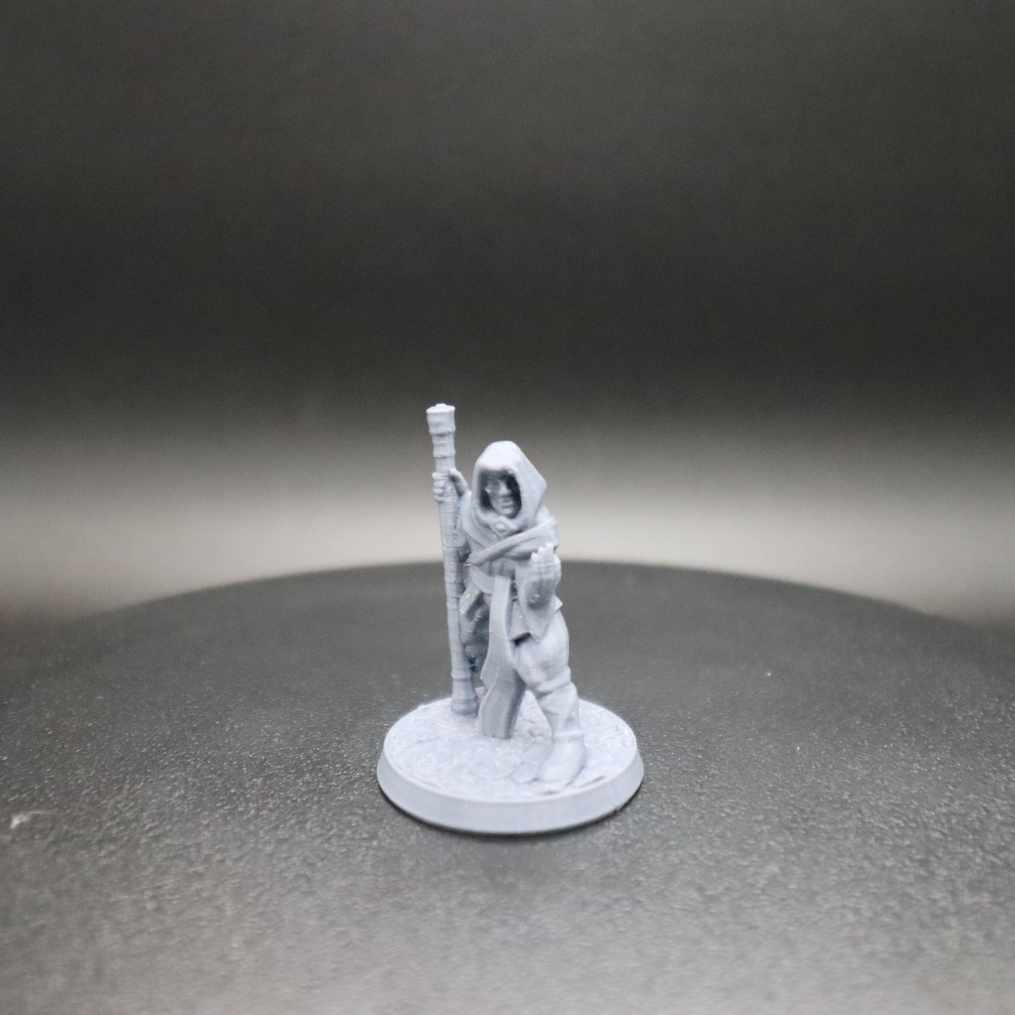 Fighting Monk