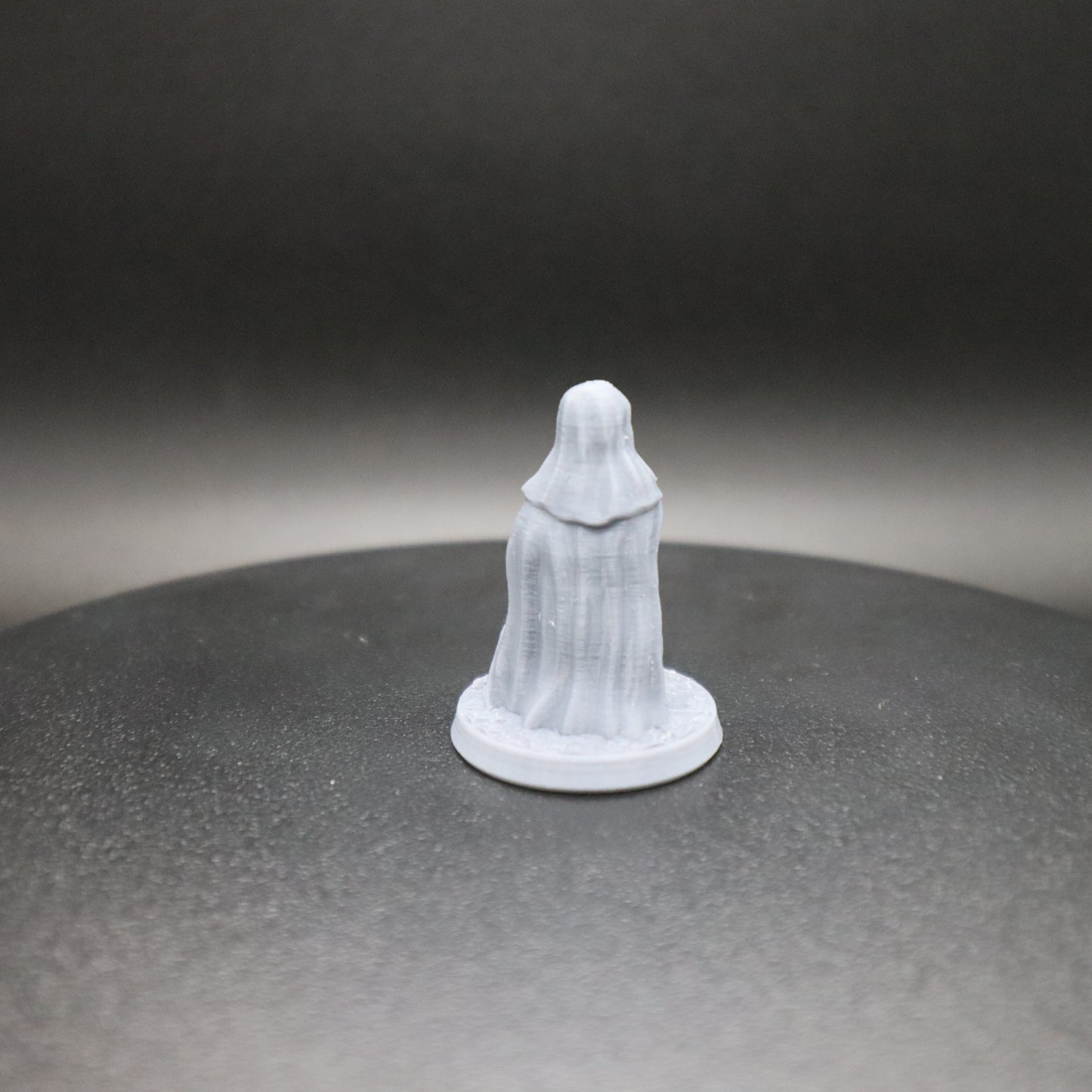 Nun Swordsman