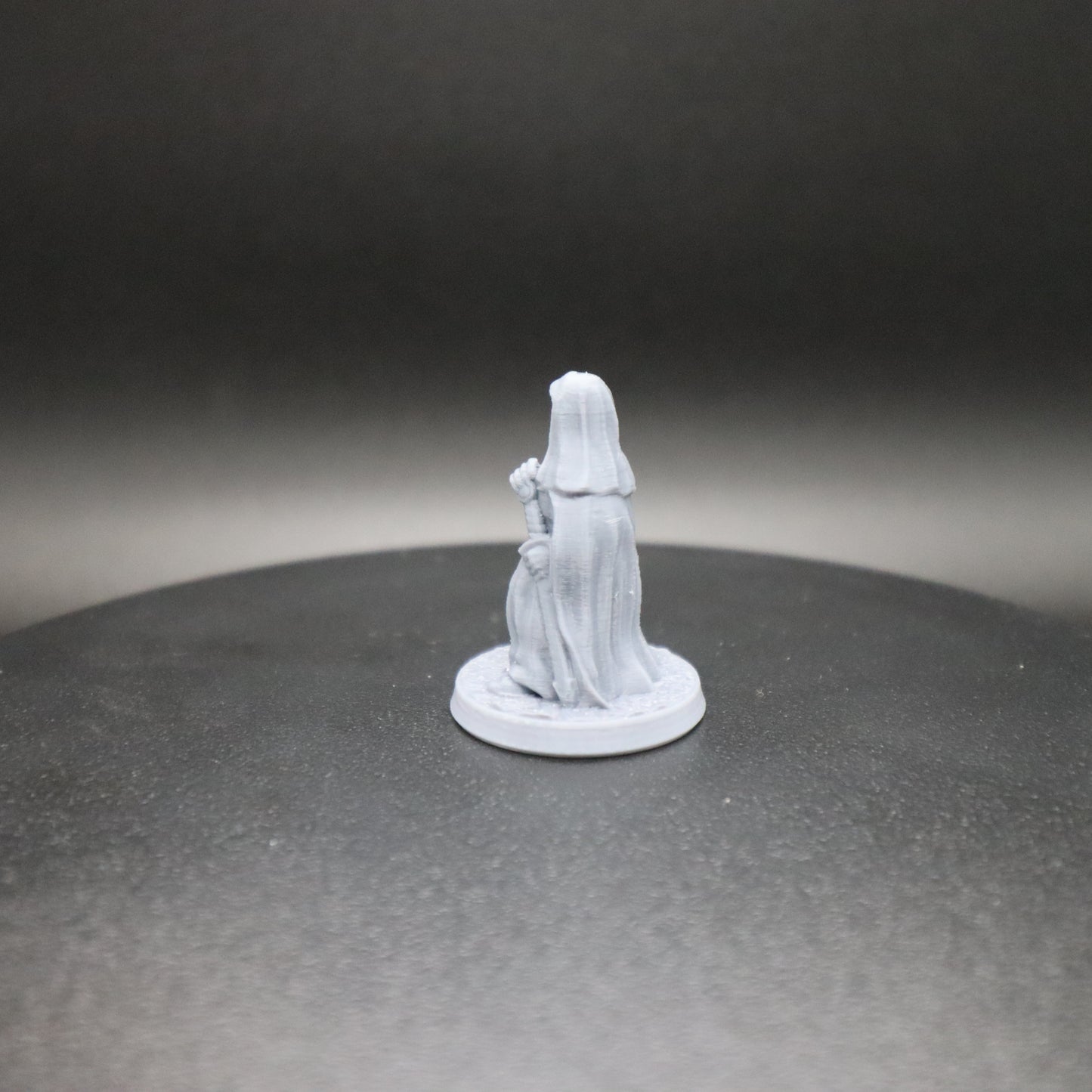 Nun Swordsman