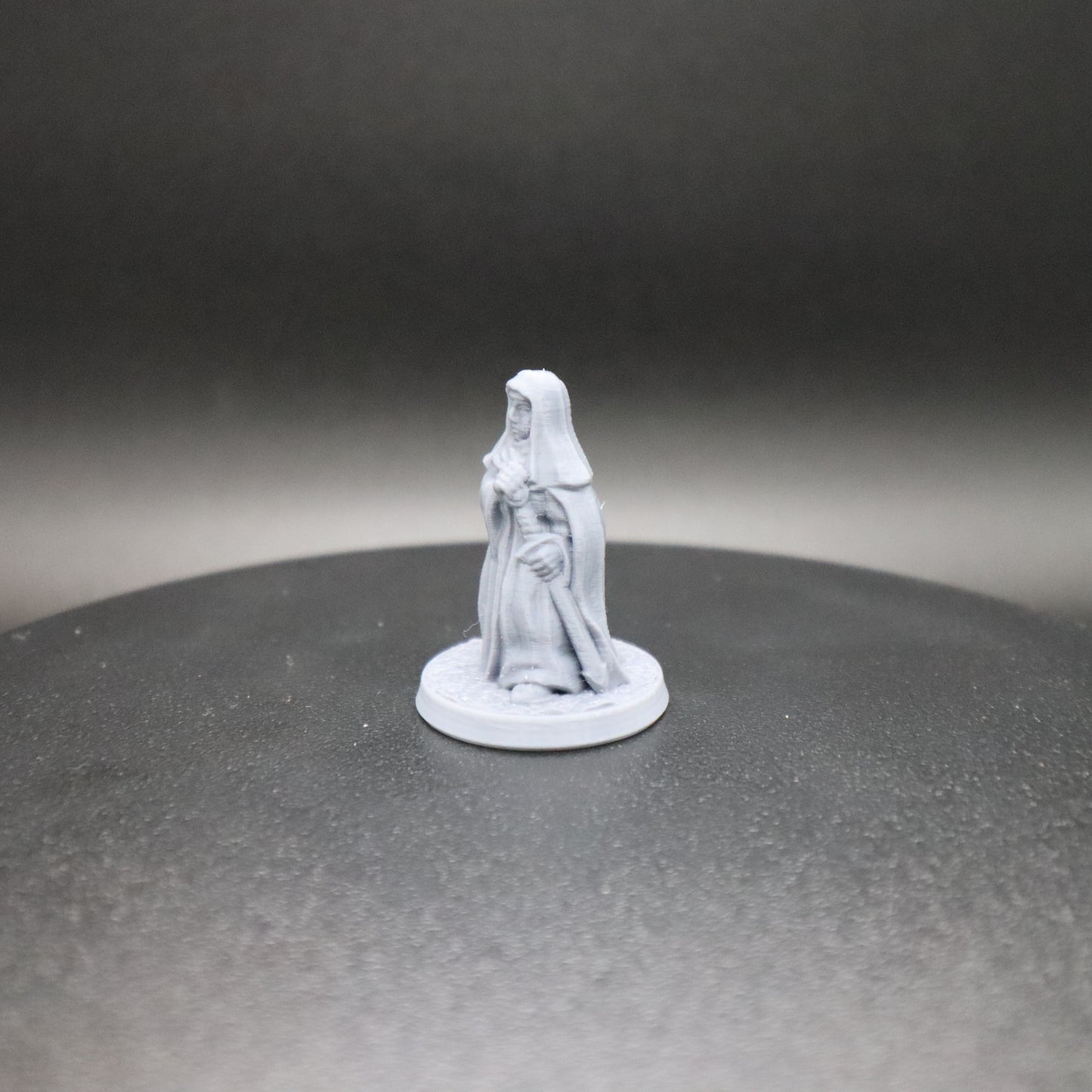 Nun Swordsman