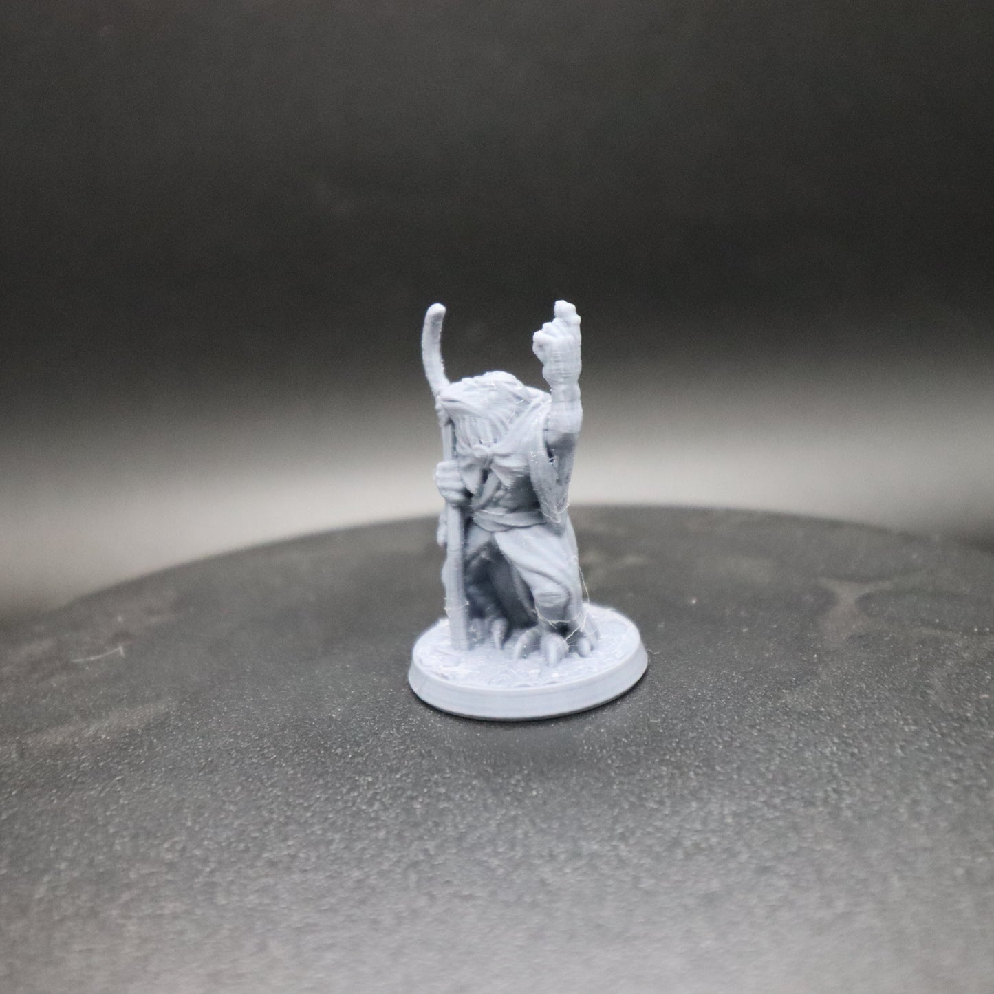Kenku Mage