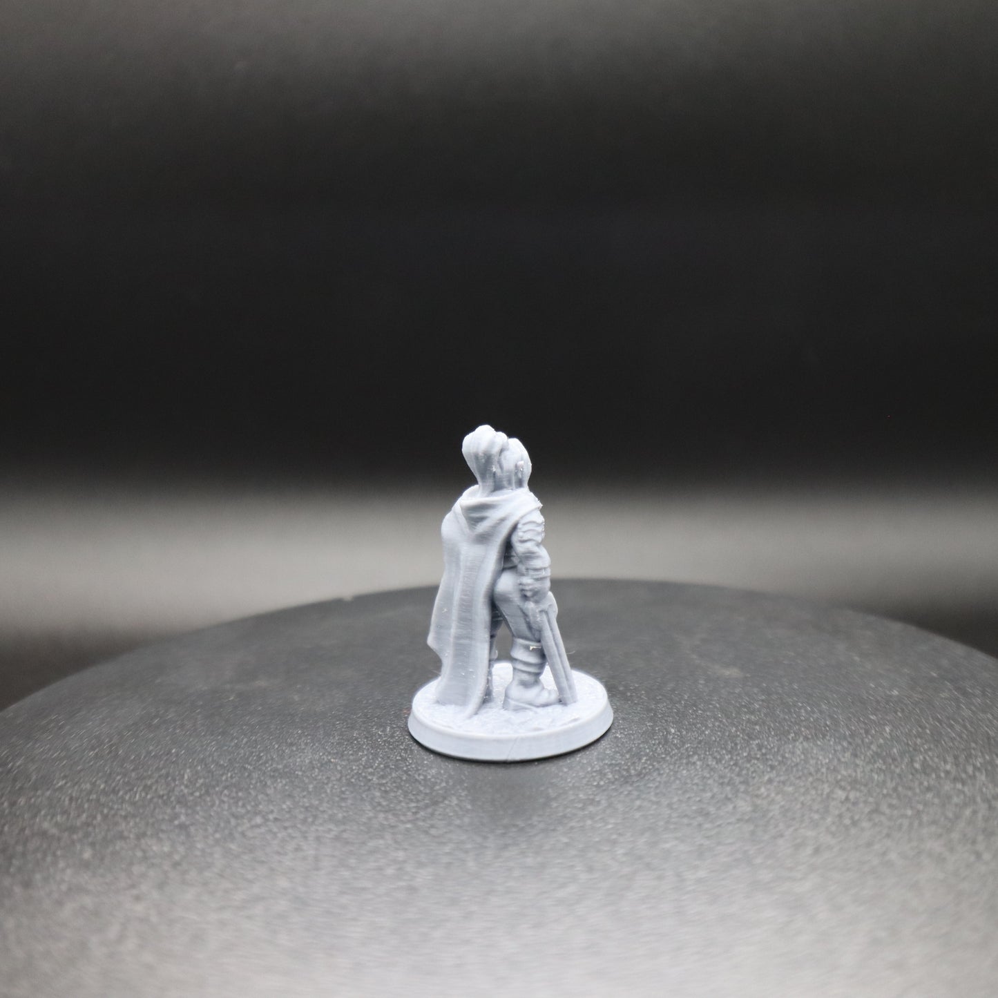 Female Dark Elf Dual Wielder