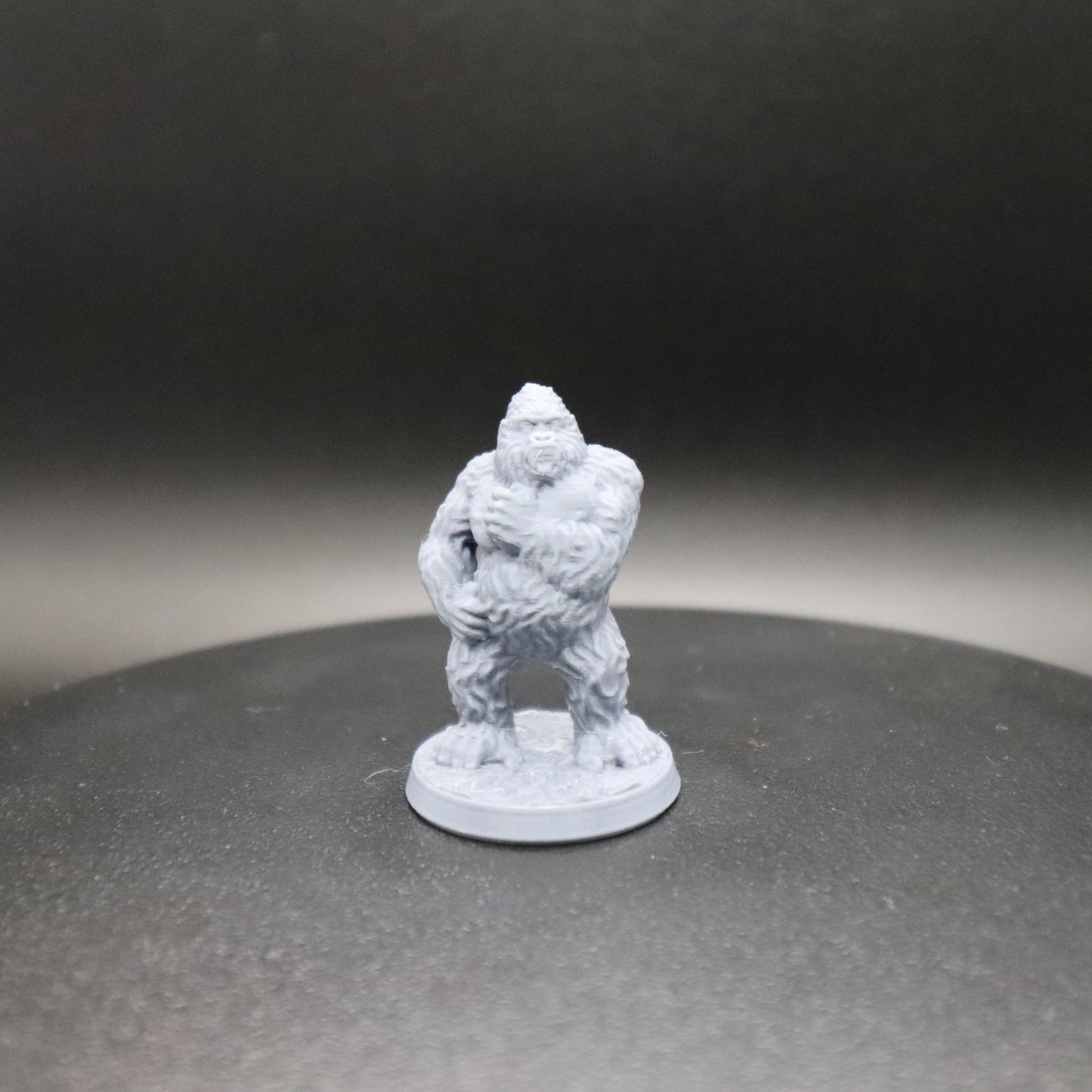 Gorilla