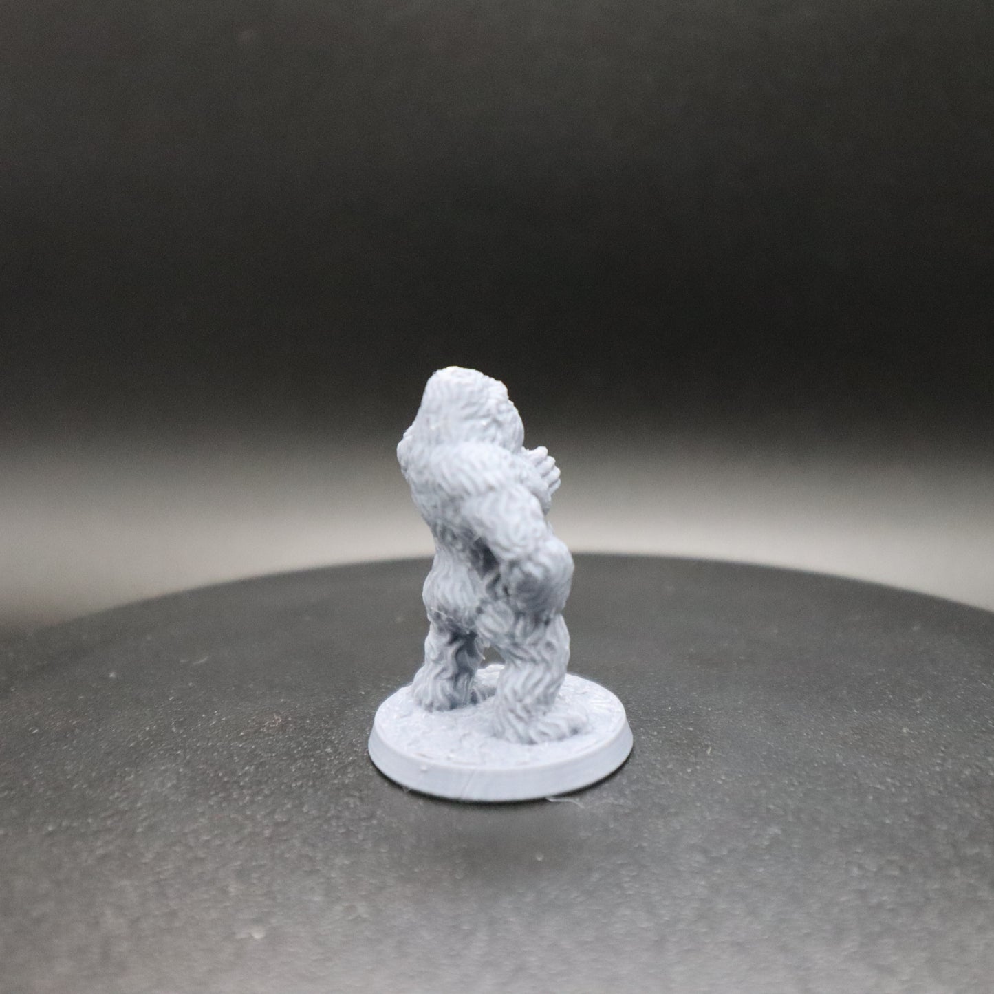 Gorilla
