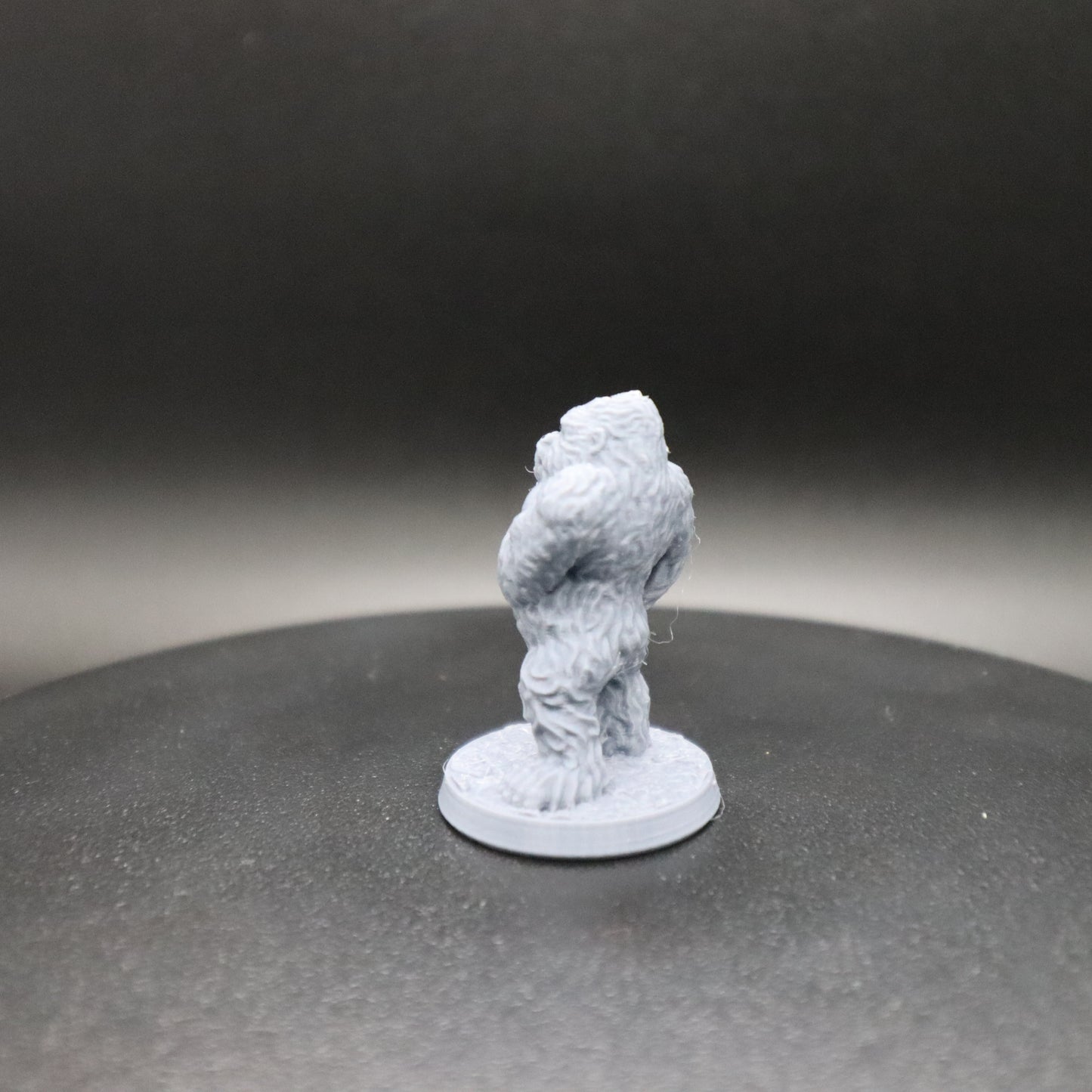 Gorilla