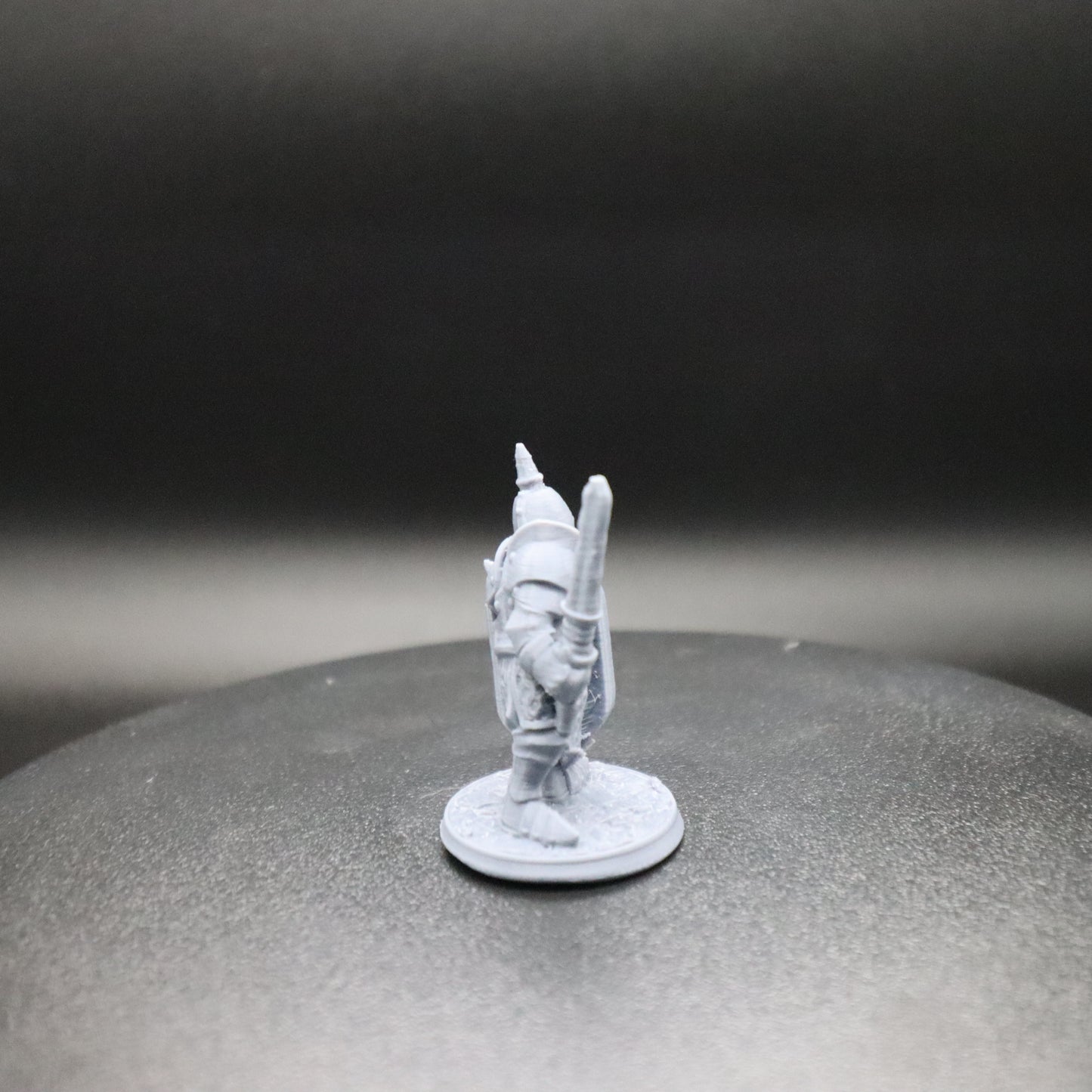 Dark Warrior with Sword and Shield