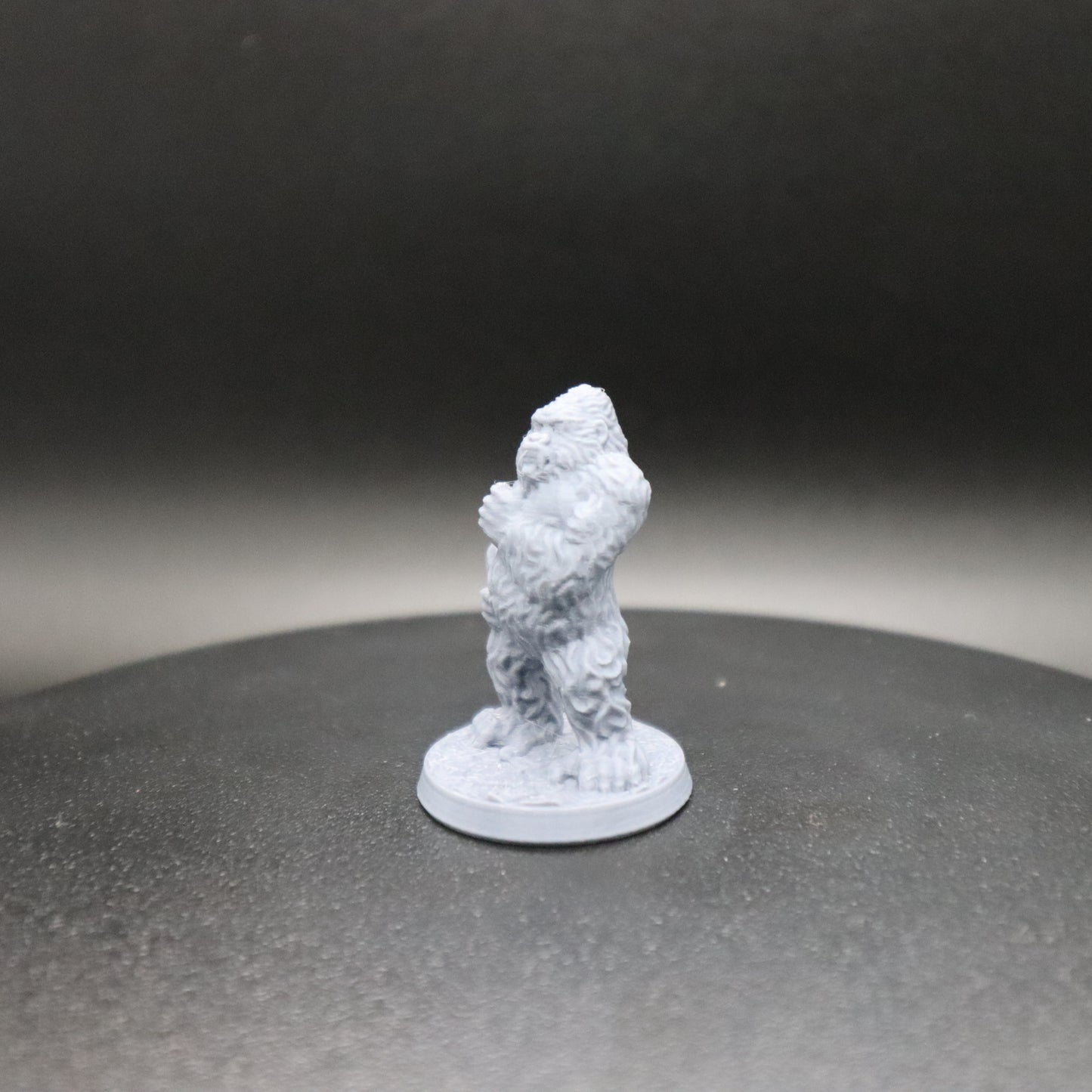 Gorilla