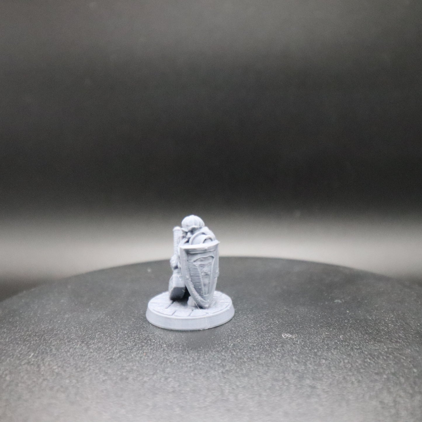 Dwarven Paladin
