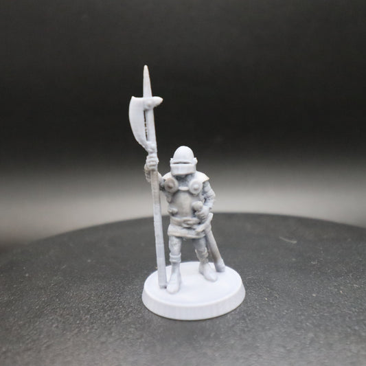 Generic Halberdier